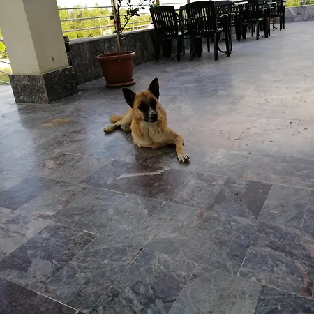 Paflagonya Otel&restoran Szálloda Çankırı