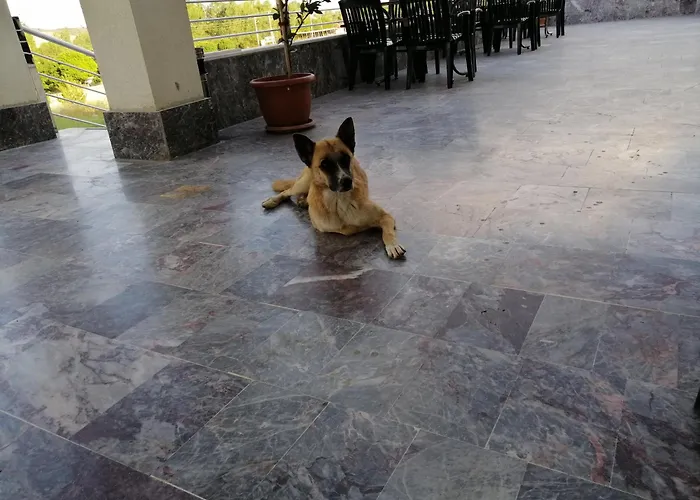 Paflagonya Otel&restoran Hotel Çankırı